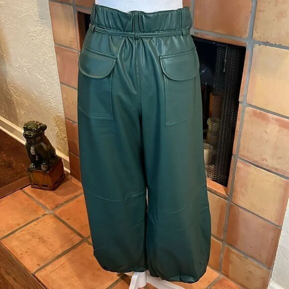 Pilcro for Anthropologie Dark Green Faux Leather Soft Parachute Pants, LP! - Picture 6 of 10
